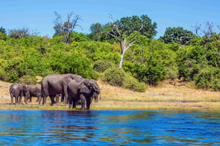 Botswana eVisa for Democratic Republic of the Congo Citizens