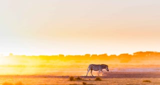 Botswana eVisa for Egyptian Citizens