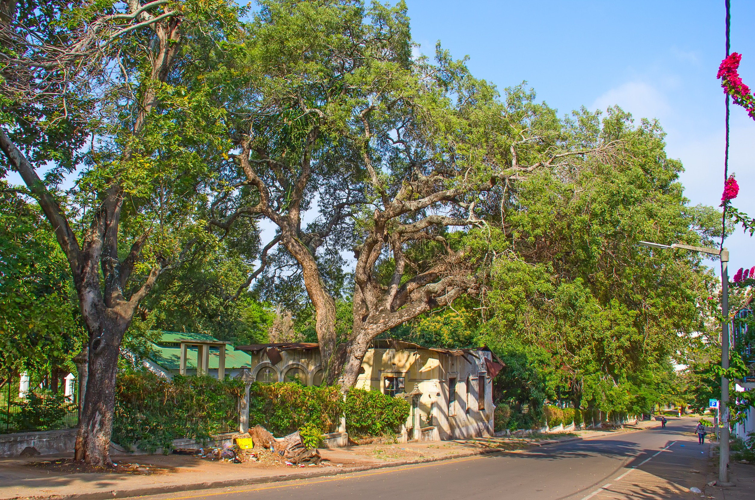 badly maintained colonial buildings in maputo mozambiqu