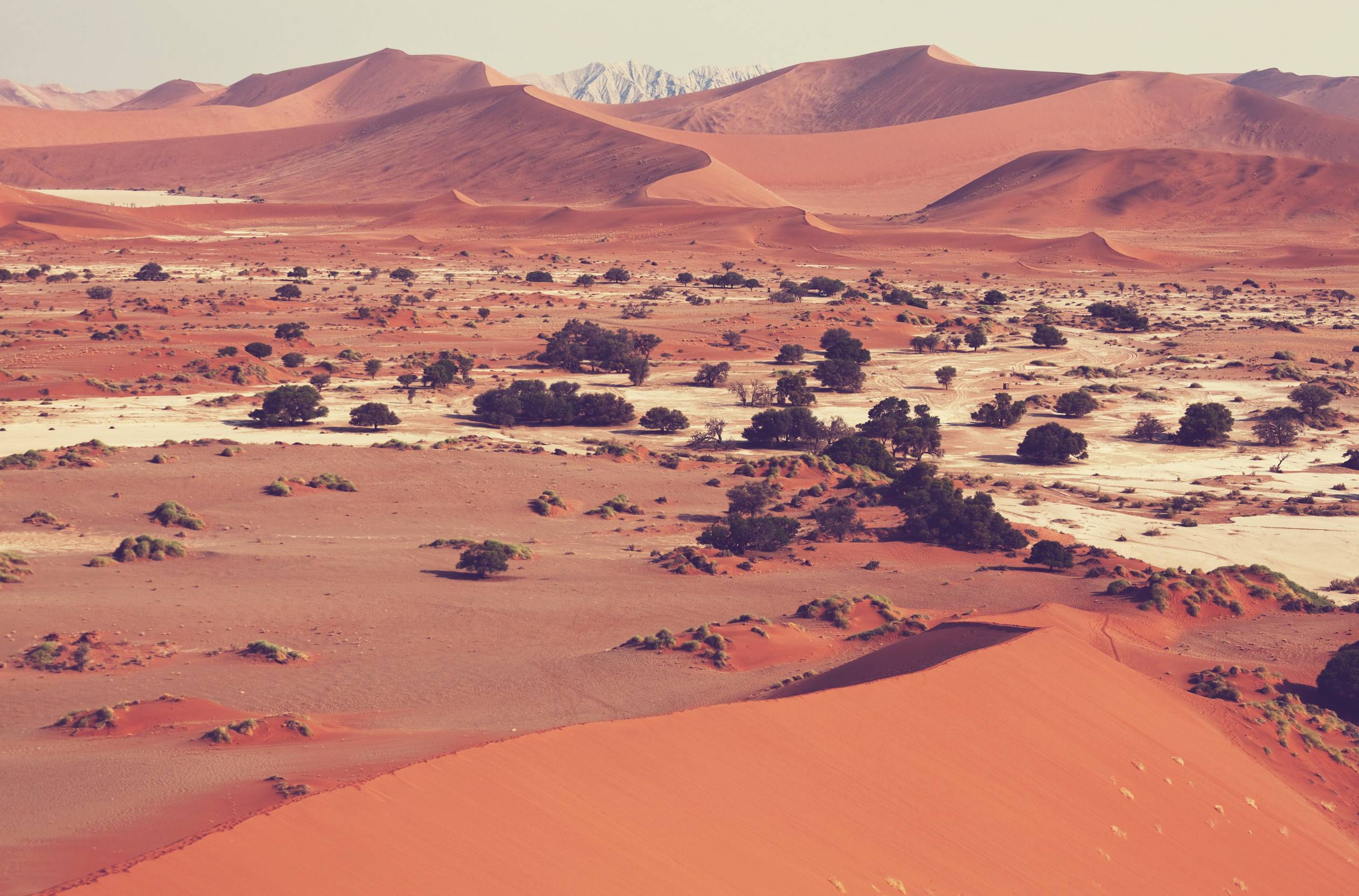 Dead Valley In Namibias